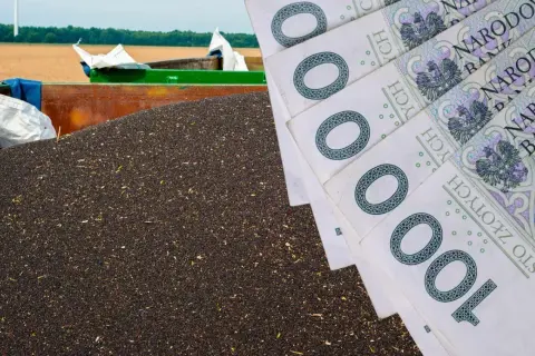 Ile płacą skupy nieruchomości? Sprawdź, co wpływa na ceny sprzedaży