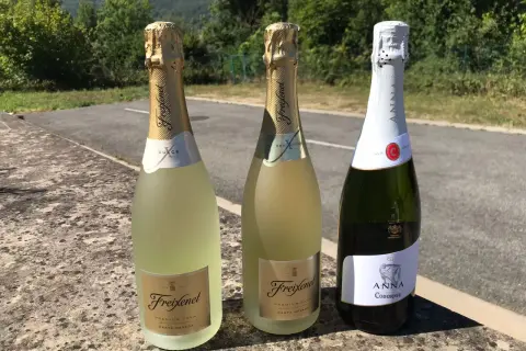 Tre bottiglie di cava spumante, due Freixenet e una Anna de Codorníu, su un muretto con sfondo verdeggiante.