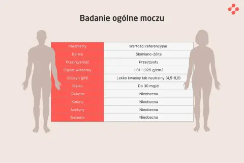 Badanie ogólne moczu: parametry, wartości referencyjne, co wykrywa. Tabela zawiera m.in. kolor, przejrzystość, ciężar właściwy, pH, białko, glukozę, ketony, azotyny i bakterie.