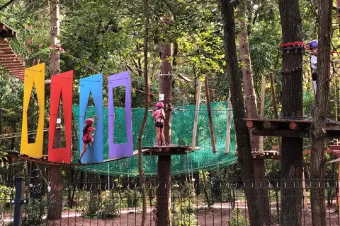 Park linowy Warszawa: Gdzie na przygodę z dziećmi? Cennik, trasy, bezpieczeństwo