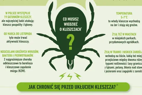 Kleszcze przenoszą boreliozę i kleszczowe zapalenie mózgu. Aktywne od marca do listopada, żyją w trawie, parkach i lasach.