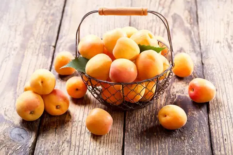 Kosz pełen soczystych moreli Early Orange na drewnianym blacie.