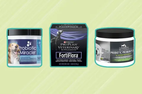 Szukasz, gdzie kupić probiotyk dla psa? Na zdjęciu trzy produkty: Probiotic Miracle, Purina FortiFlora i Probiotic Premium Plus.
