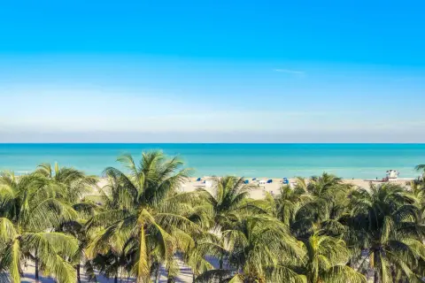 Palmer träd mot en turkos ocean och en klarblå himmel. En strand med parasoller och en livräddartorn anas i fjärran, en perfekt vy för en dröm om flygtid Florida.