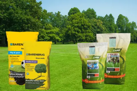 Worek z nasionami trawy Barenbrug "Shadow & sun" i Agro Land "Stadion" - najlepsza trawa na trawnik, zapewniająca gęsty, regenerujący się dywan.