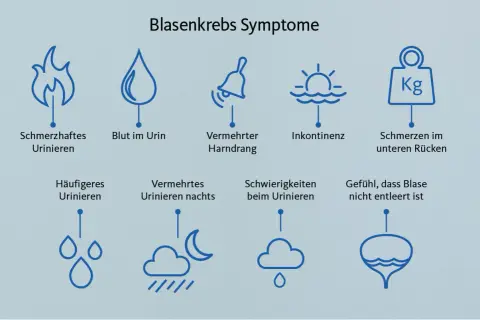 Grafik zeigt Symptome von Blasenkrebs: schmerzhaftes Urinieren, Blut im Urin, Harndrang, Inkontinenz, Rückenschmerzen, häufiges Urinieren, nächtliches Urinieren, Schwierigkeiten beim Urinieren, Gefühl der unvollständigen Blasenentleerung. Ein blasen tu...