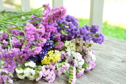 Bukiet kolorowych kwiatów limonium w odcieniach różu, fioletu, bieli i żółci leży na drewnianym blacie.
