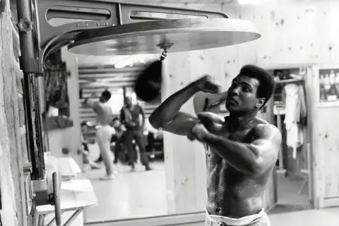 Muhammad Ali trains with a speed bag, sweat glistening on his skin, a testament to the dedication behind his many achievements.