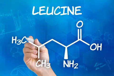 La mano disegna la formula della leucina, un amminoacido essenziale. Quanta leucina al giorno è ottimale per la crescita muscolare?