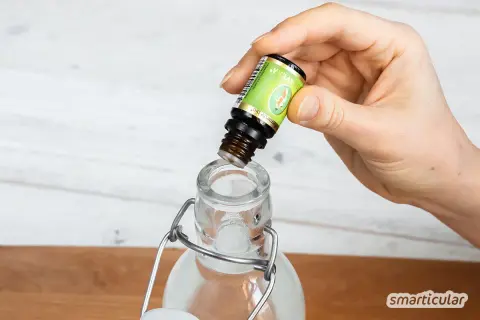 Eine Hand tropft ätherisches Öl in eine Glasflasche, um Mundwasser selber zu machen.