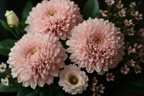 En bukett med fluffiga, ljusrosa krysantemum snittblommor och små, delikata blommor.