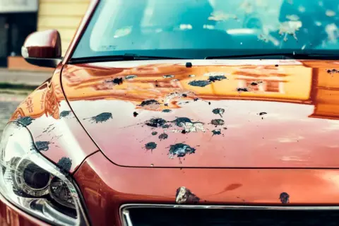 Vogelkot entfernen hausmittel: Die Motorhaube eines orangefarbenen Autos ist mit vielen dunklen Flecken übersät.