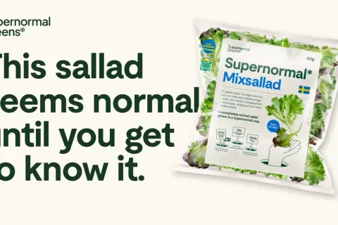 En påse Supernormal Mixsallad, en ljusgårda sallad odlad i Sverige. Krispig, god och redo att ätas.