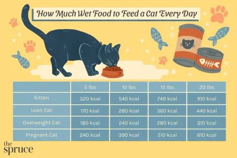 Chart shows how much wet food to feed a cat daily based on weight and life stage, from kittens to pregnant cats.