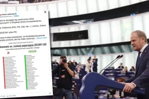 Zielony ład kto głosował za - lista europosłów i ich partie