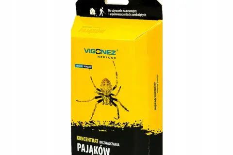 Skuteczne sposoby na pająki w domu - pozbądź się ich raz na zawsze
