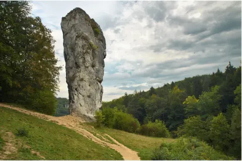 Maczuga Herkulesa, wysoka skała wapienna, góruje nad zielonym zboczem i lasem. Gdzie jest? W Ojcowskim Parku Narodowym.