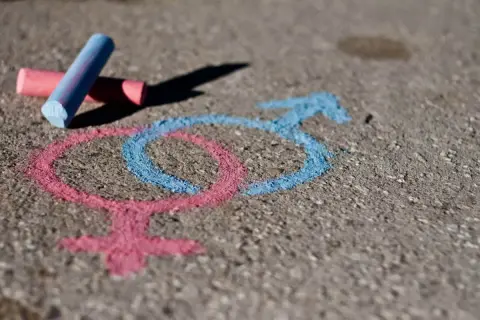 Kredą na chodniku narysowane symbole płci. Różowy symbol dziewczyny i niebieski symbol chłopca, obok leżą kredy. To pokazuje, co lubią dziewczyny i chłopcy.