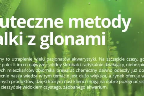 Skuteczne sposoby na usunięcie glonów z ozdób akwariowych