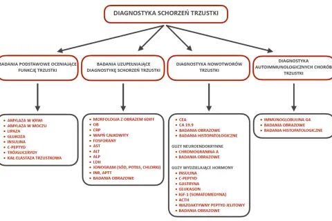 Jak zbadać trzustkę? Objawy, badania, interpretacja wyników