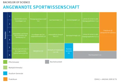 Studienplan für Angewandte Sportwissenschaft: Pflicht- und Wahlpflichtmodule, Praktikum und Bachelorarbeit im Sportmanagement.