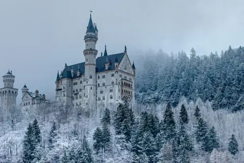 Neuschwanstein slott reser sig majestätiskt ur en snötäckt skog. En sagolik vy i vinterlandskap.