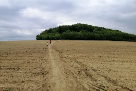 Dzieci idą ścieżką przez puste pole w kierunku zalesionego wzgórza, zwanego Górą Dorotka.