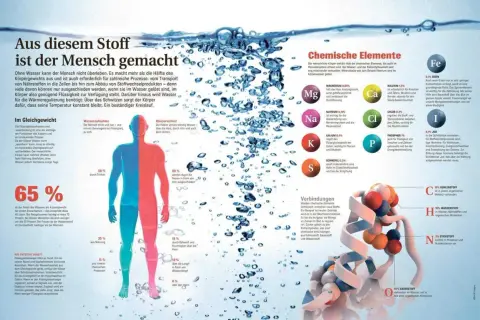 Der Mensch besteht zu 65% aus Wasser und zu 18% aus Kohlenstoff. Weitere Elemente wie Sauerstoff, Stickstoff und Wasserstoff sind essenziell.