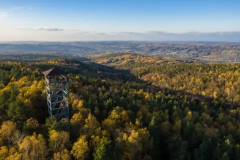 Iwkowa wieża widokowa góruje nad jesiennym lasem, oferując zapierający dech w piersiach widok na pagórkowaty krajobraz.