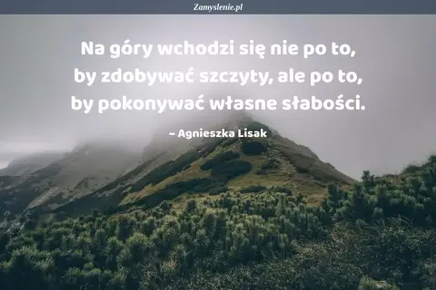 Góry w mglistym krajobrazie. Cytaty o zdobywaniu szczytów przypominają, że prawdziwe zwycięstwo to pokonanie własnych słabości.