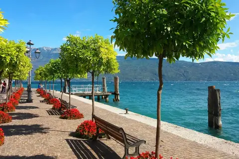 Viste incantevoli per le passeggiate a Gargnano, con alberi verdi, fiori rossi e il lago scintillante.