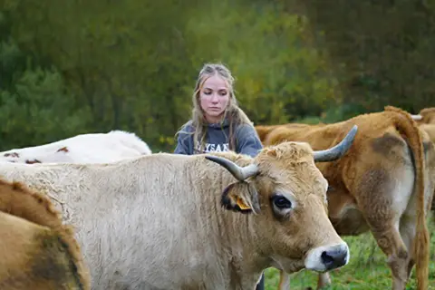 Une jeune femme regarde des vaches dans un pré.