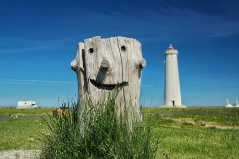 Uśmiechnięty pień drzewa z latarnią morską w tle. Co to jest fotografia? To uroczy widok na tle błękitnego nieba.