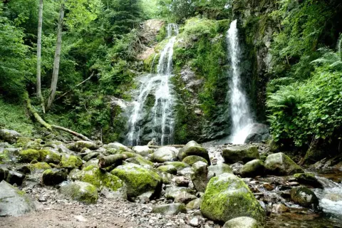 La cascade du Heidenbad dévale une falaise rocheuse verdoyante, entourée d'une forêt luxuriante. Des rochers moussus bordent le cours d'eau en contrebas.