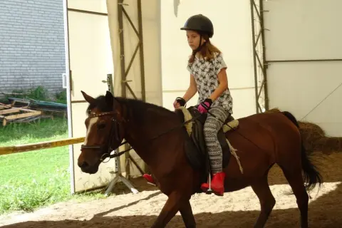 Klub jeździecki Lubliniec - nauka jazdy konnej dla każdego wieku