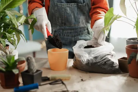 Osoba w rękawiczkach przesypuje ziemię łopatką do pomarańczowej doniczki.