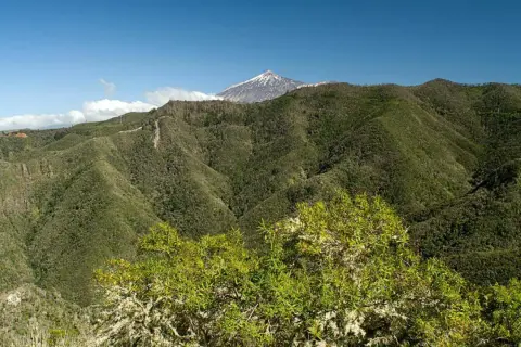 Un exuberante monte del agua se extiende hasta un volcán nevado bajo un cielo azul.