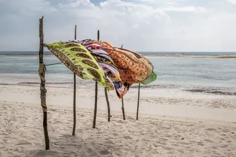 Atrakcje turystyczne Kenii: Safari, plaże i Twój przewodnik marzeń