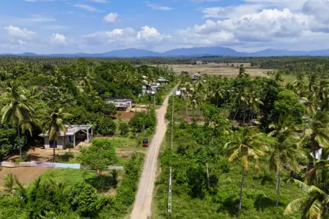 Droga przez palmy i pola, domy, tuk-tuk. Czy Sri Lanka jest bezpiecznie? Spokojna wieś, zieleń, góry w oddali.