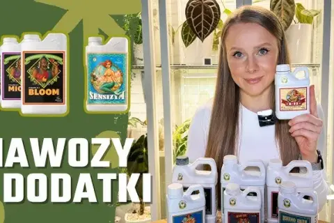 Najlepszy nawóz do hydroponiki – uniknij błędów w uprawie roślin