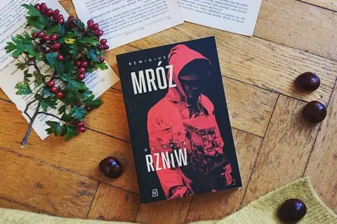 Osiedle RZNiW - co to znaczy i jakie ma znaczenie w książce?