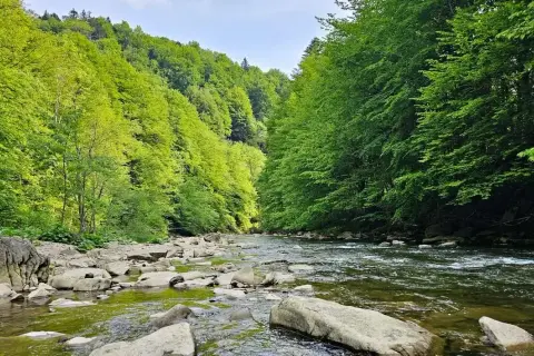 Najpiękniejsze miejsca Bieszczad, które musisz zobaczyć na własne oczy