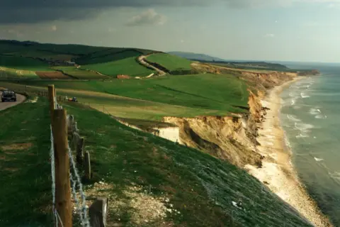 Malownicze klify i plaża na wyspie Wight, z krętą drogą i zielonymi wzgórzami w tle.