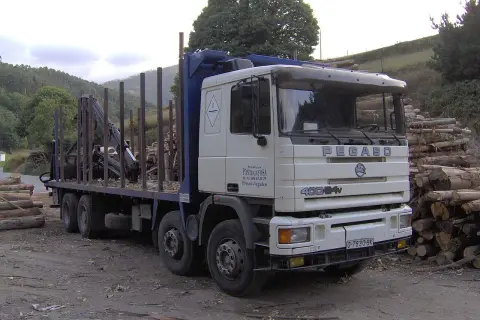 Camion Pegaso blanc avec grue, chargé de bois, garé près d'une pile de troncs.