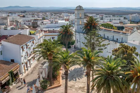 Vista aérea de Conil de la Frontera con palmeras y edificios blancos. Ideal para saber qué hacer en Conil de la Frontera.