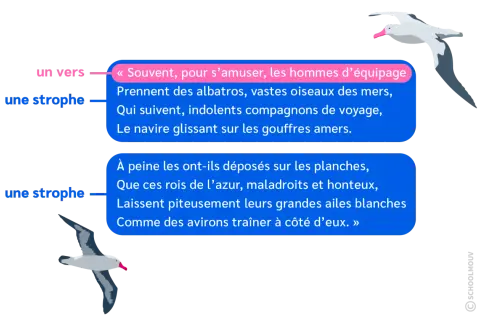 Deux albatros illustrent des strophes du poème de Baudelaire, évoquant ces "vastes oiseaux des mers".