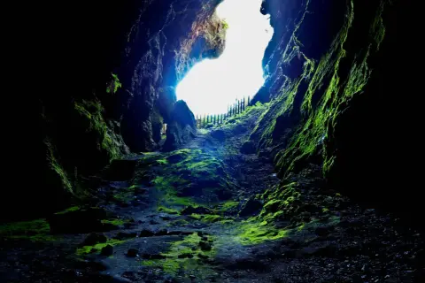 El sendero musgoso de Cova das Choias se abre hacia una luz brillante, invitando a explorar sus misterios verdes y rocosos.