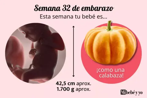 Bebé de 32 semanas de embarazo, con tamaño aproximado de 42,5 cm y 1.700 g, ¡como una calabaza!
