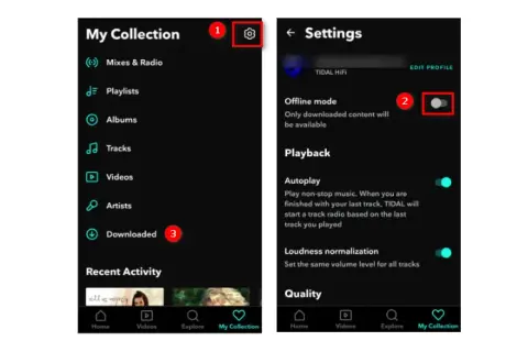 Tidal offline: Jak pobierać muzykę krok po kroku (Poradnik)