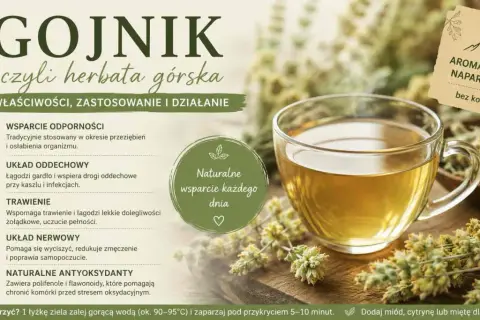 Gojnik właściwości: wsparcie odporności, układu oddechowego, trawienia, nerwowego. Naturalny antyoksydant. Aromat z gór, bez kofeiny.